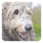 Cute Irish Wolfhound Square Sticker