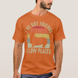 Cute Ive Got Friends In Low Places Corgi Dog frien T-Shirt