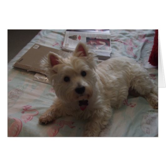 cute jack card! (Front Horizontal)