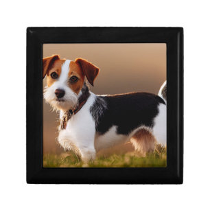 Cute Jack Russel Terrier Dog Photograph Gift Box