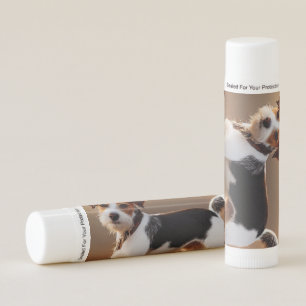 Cute Jack Russel Terrier Dog Photograph Lip Balm