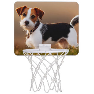 Cute Jack Russel Terrier Dog Photograph Mini Basketball Hoop