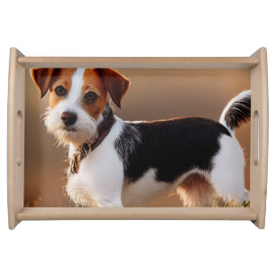 Cute Jack Russel Terrier Dog Photograph Serving Tray