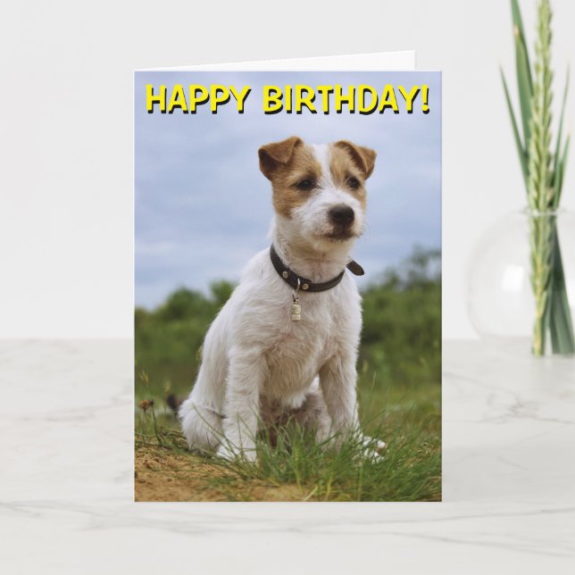 Cute Jack Russell birthday card (Front)
