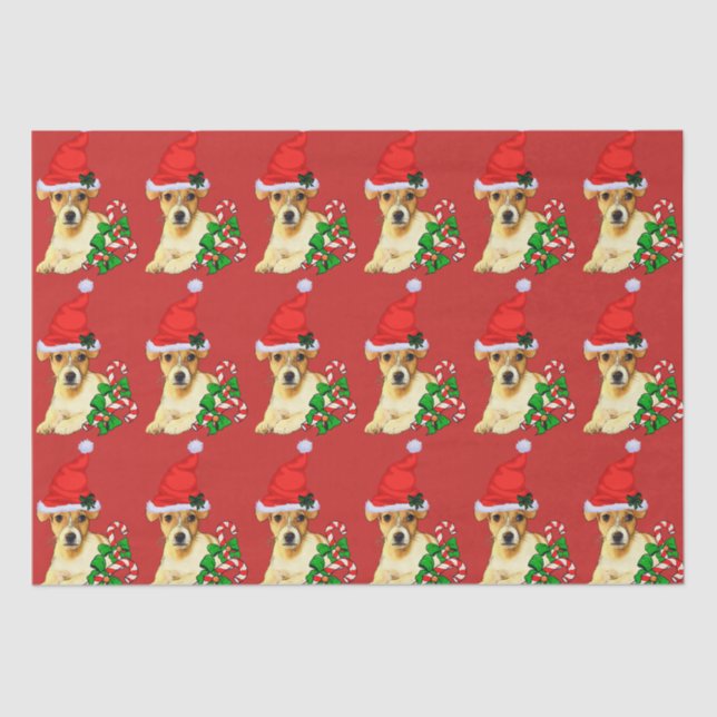 Cute Jack Russell Terrier Christmas Tissue Paper (Front)