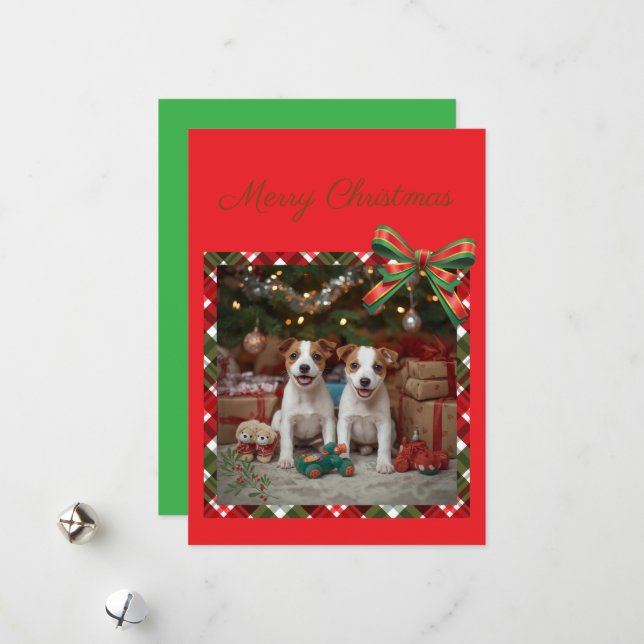Cute Jack Russell Terrier Puppies and Christmas Holiday Card (Front/Back In Situ)