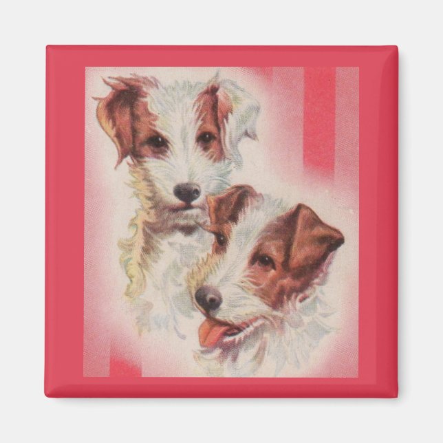 CUTE Jack Russell terriers illustration Magnet (Front)