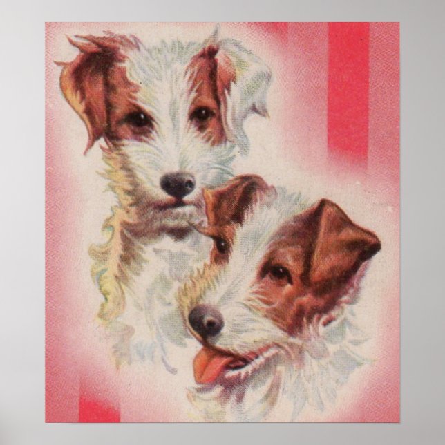 CUTE Jack Russell terriers illustration Poster (Front)