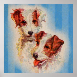 CUTE Jack Russell terriers poster
