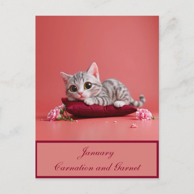 Cute January Cat with Carnations Postcard (Front)