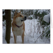 Cute japanese akita dog in the snow at christmas (Front Horizontal)