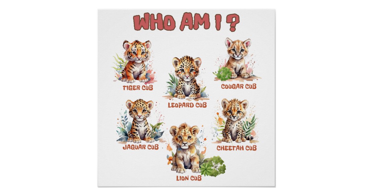 Cute Test Cute jungle baby wild animals educational quiz poster | Zazzle