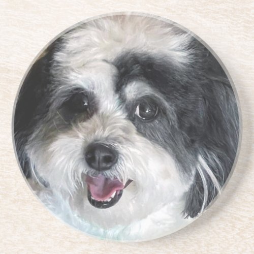 Cute K_Cee Zuchon Dog Coaster