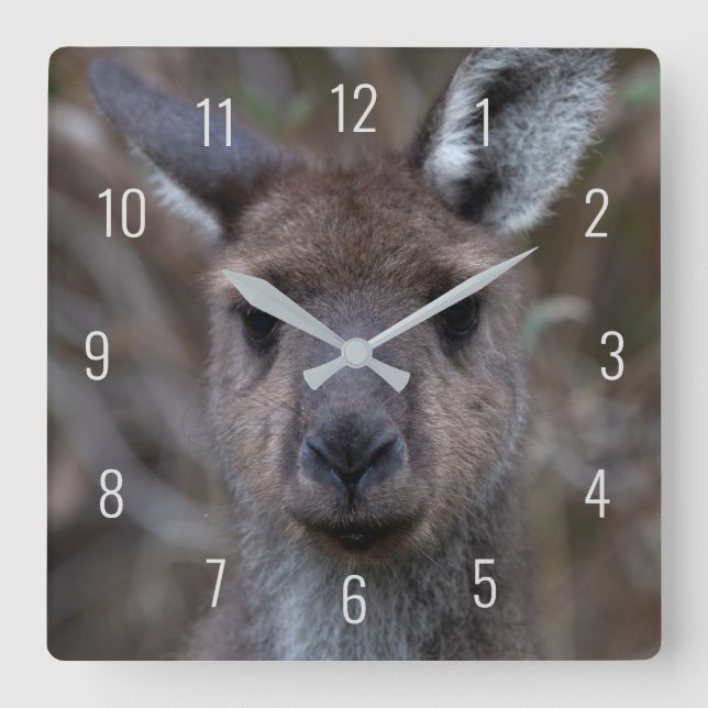 Cute Kangaroo Face Close-up Australia Square Wall Clock (Front)