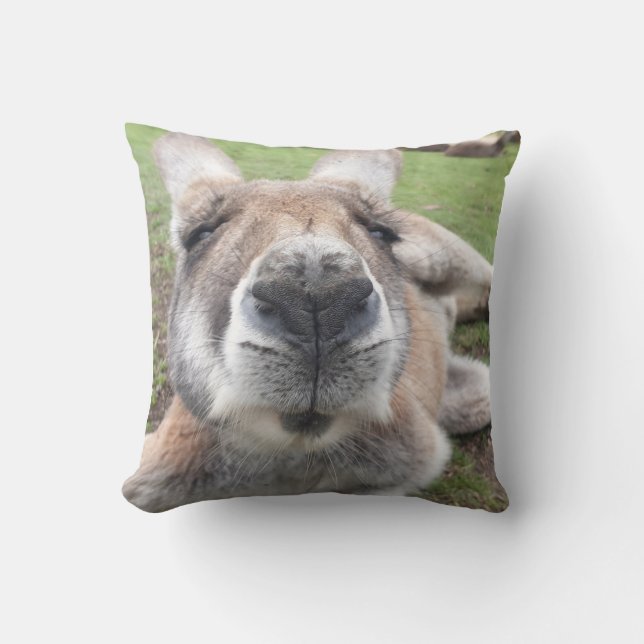 Cute Kangaroo Funny Face Australia Wildlife Photo Throw Pillow (Front)