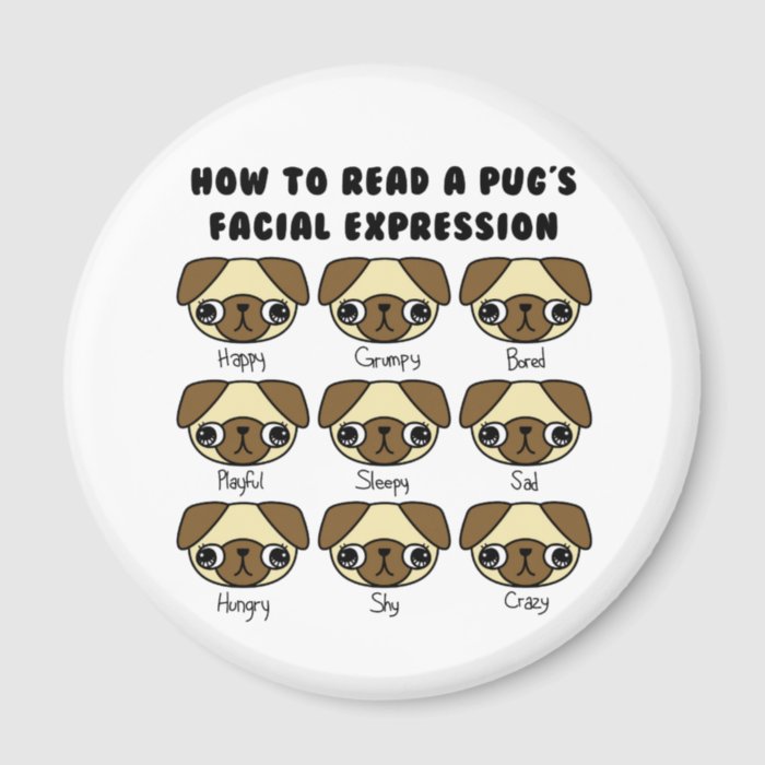 Cute Kawaii Cartoon Pug Funny Magnet