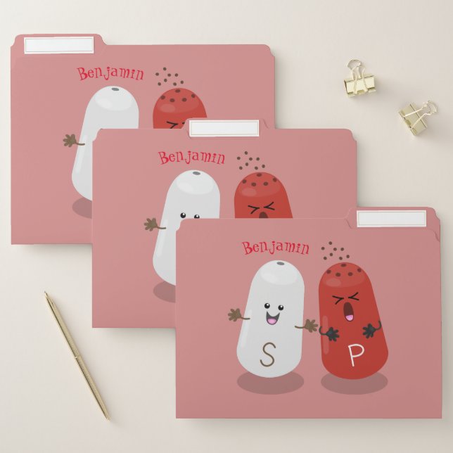 Cute kawaii salt and pepper shakers cartoon file folder (Set)