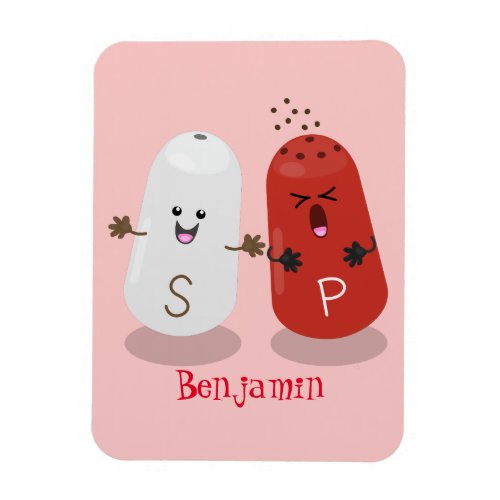 Cute kawaii salt and pepper shakers cartoon magnet