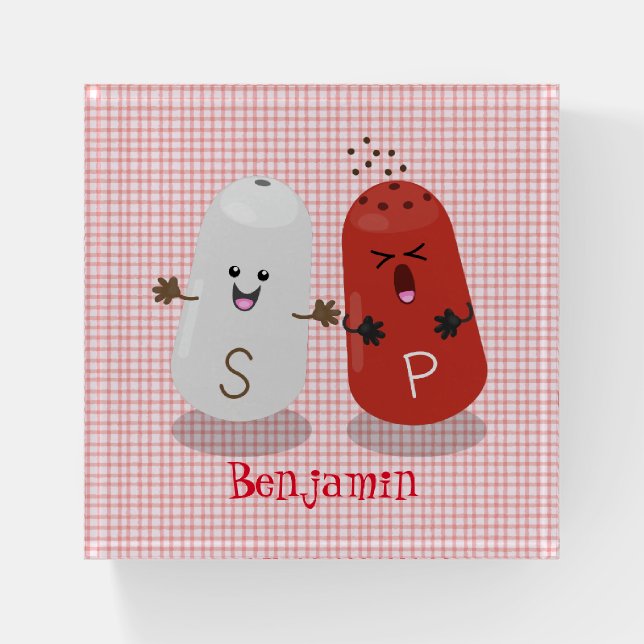Cute kawaii salt and pepper shakers cartoon paperweight (Front)
