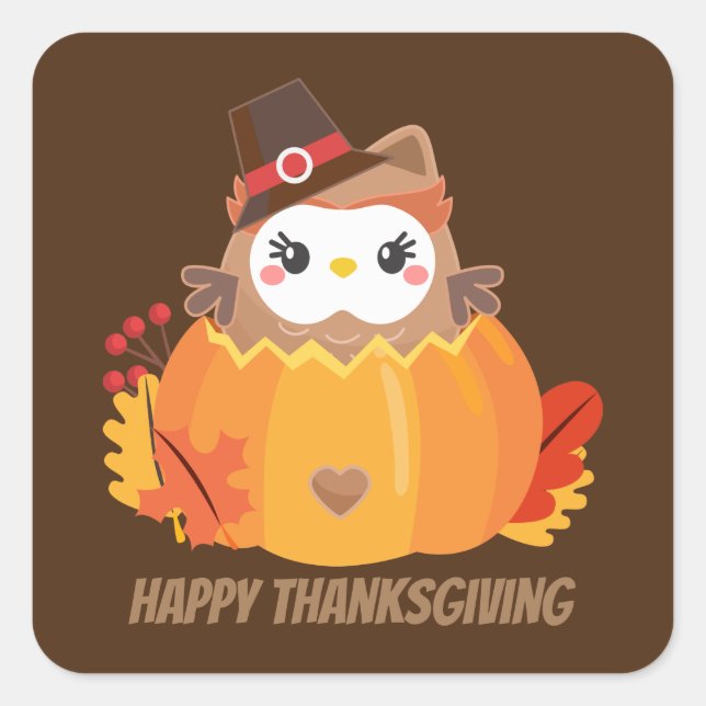 Cute Kawaii Thanksgiving owl add message Square Sticker (Front)