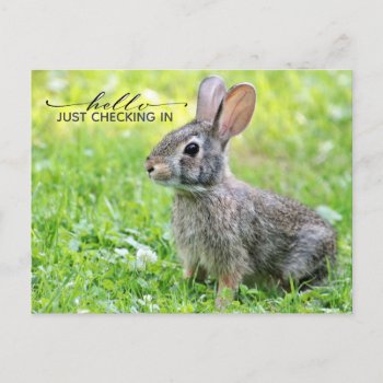 Cute Keeping Connected Postcard by Siberianmom at Zazzle