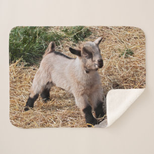 Cute Kid Sherpa Blanket