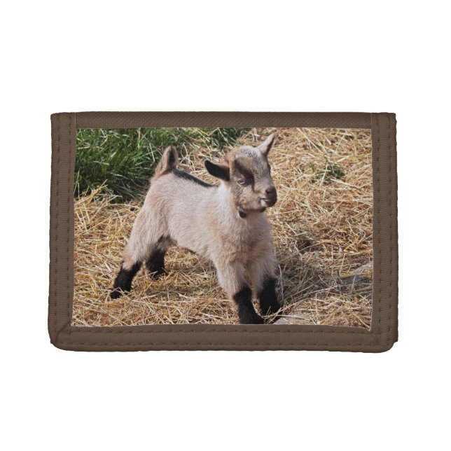 Cute Kid Wallet (Front)