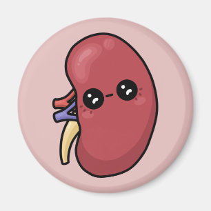 Cute Kidney - Human Biology Magnet