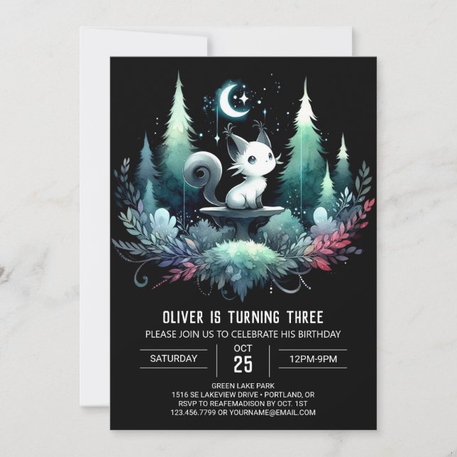 Cute Kids Cat Birthday Invitation (Front)