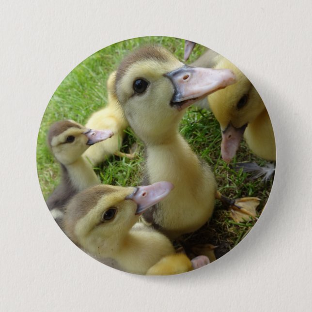 Cute Kids Ducklings Baby Ducks Spring Farm Animals Button (Front)
