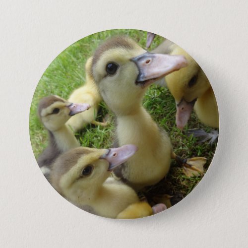 Cute Kids Ducklings Baby Ducks Spring Farm Animals Button
