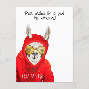 Cute, Kind, Fun Mama Llama, Keep Trying Greeting Postcard
