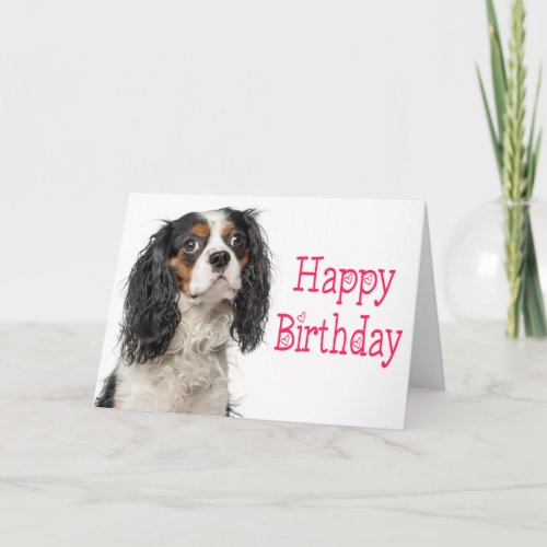 Cute  King Charles Cavalier Dog Birthday Card