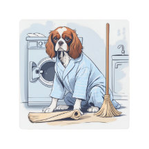 Cute King Charles Spaniel in Pajamas Doing Laundry