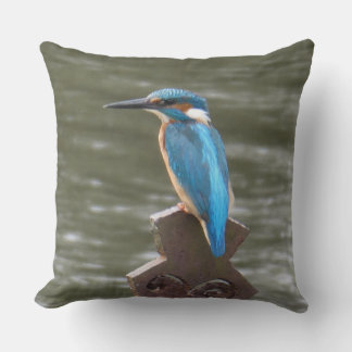 Cute Kingfisher Throw Pillow