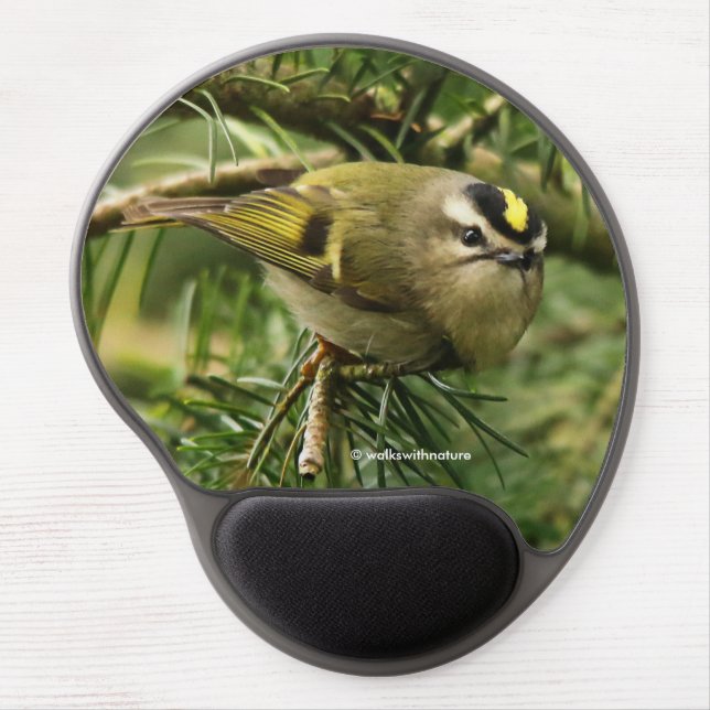 Cute Kinglet Songbird Causes Stir in the Fir Gel Mouse Pad (Front)