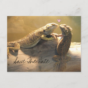 Cute Kissing Lizards Wedding Save The Date Announcement Postcard
