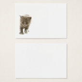 cute kitten (Front & Back)