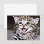 Cute Kitten (Front/Back)