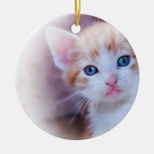 Cute Kitten 1 Photo Ceramic Ornament (Front)