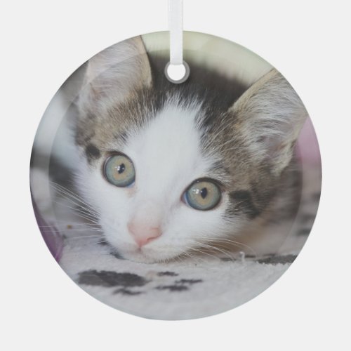 Cute Kitten 1 Photo Circle Glass Ornament