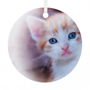 Cute Kitten 1 Photo Circle Metal Ornament