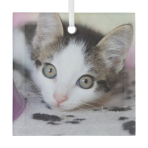 Cute Kitten 1 Photo Square Glass Ornament