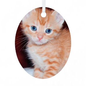 Cute Kitten 1 Vertical Photo Metal Ornament