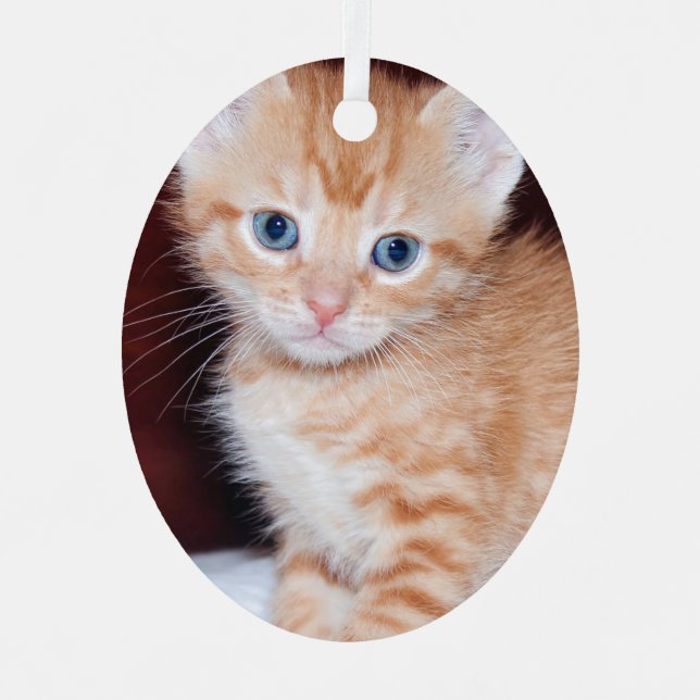 Cute Kitten 1 Vertical Photo Metal Ornament (Front)