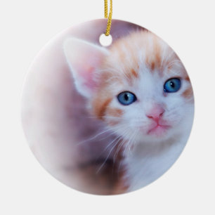 Cute Kitten 2 Photo Round Ceramic Ornament