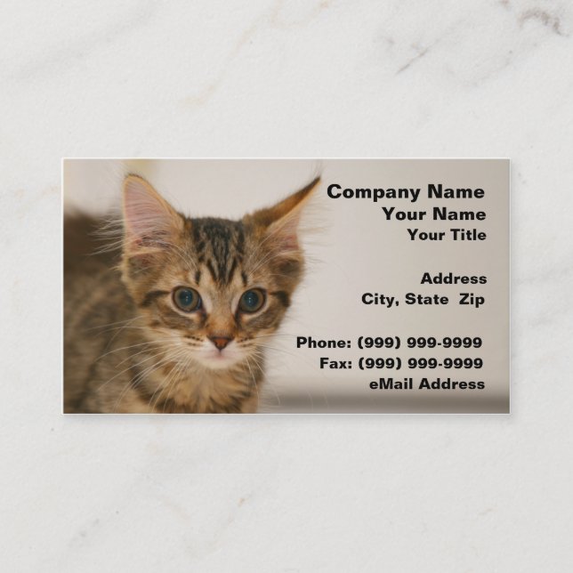 Cute Kitten Against an Off-White Background Business Card (Front)