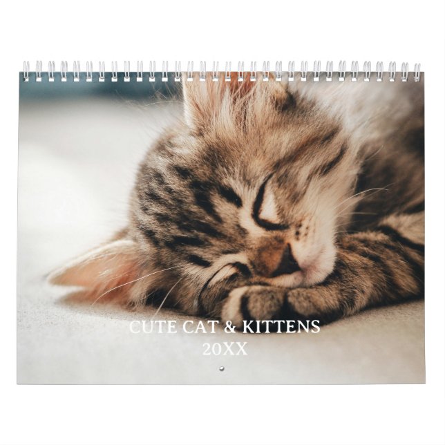 Cute Kitten And Cat Pet Photo Calendar (Cover)