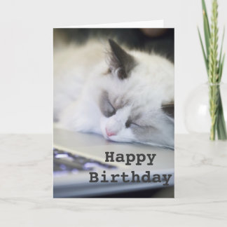Cute Kitten Asleep Happy Birthday Card