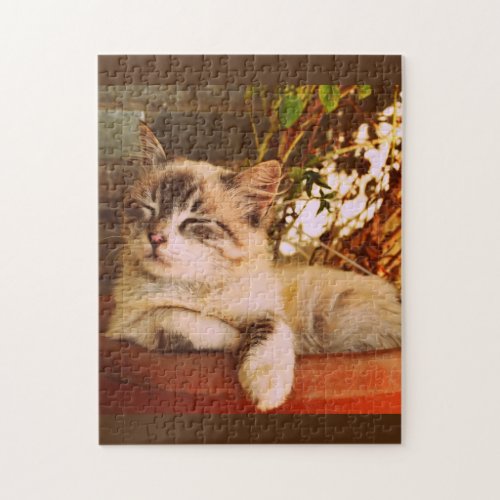 Cute Kitten Asleep Jigsaw Puzzle